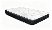 Load image into Gallery viewer, SPECTRA