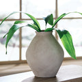 Hannela Home Accents Collection - Antique Tan