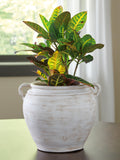 Meadie Home Accents Collection - Distressed White