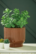 Avalyah Home Accents Collection - Burnt Umber
