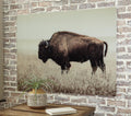Brutus Wall Art - Sepia