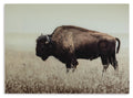 Brutus Wall Art - Sepia