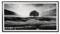 Deborland Wall Art - Black/White