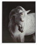 Archerwick Wall Art - Black/White