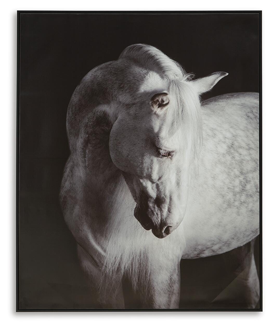 Archerwick Wall Art - Black/White