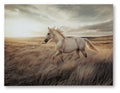 Errolville Wall Art - Multi