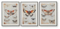 Jossletts Wall Art Set (3/CN) - Orange/Black/Ivory