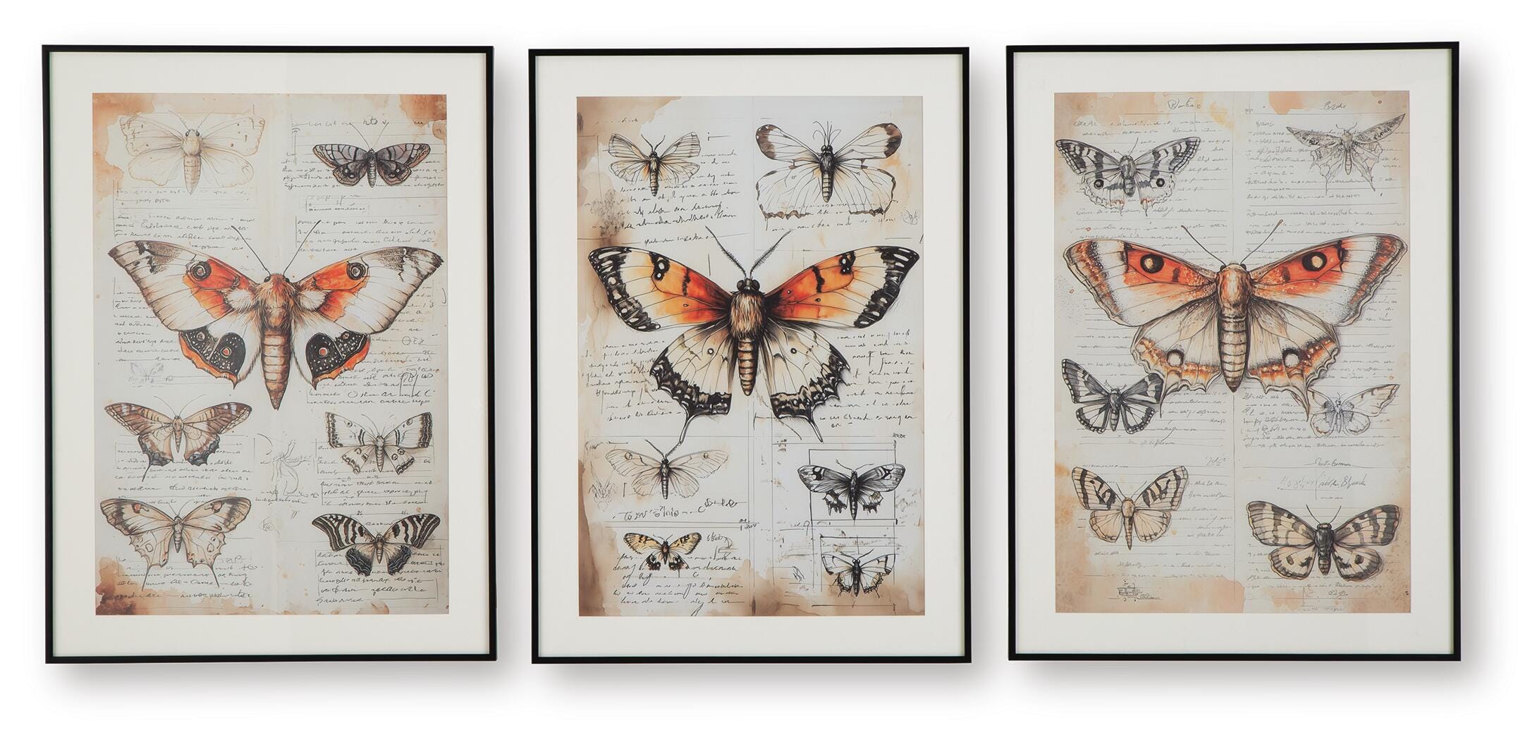 Jossletts Wall Art Set (3/CN) - Orange/Black/Ivory