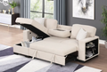 Modern Pinto Reversible Sleeper Sectional with Storage