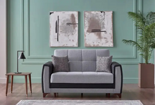 Load image into Gallery viewer, DUBLIN SOFA &amp; LOVESEAT
