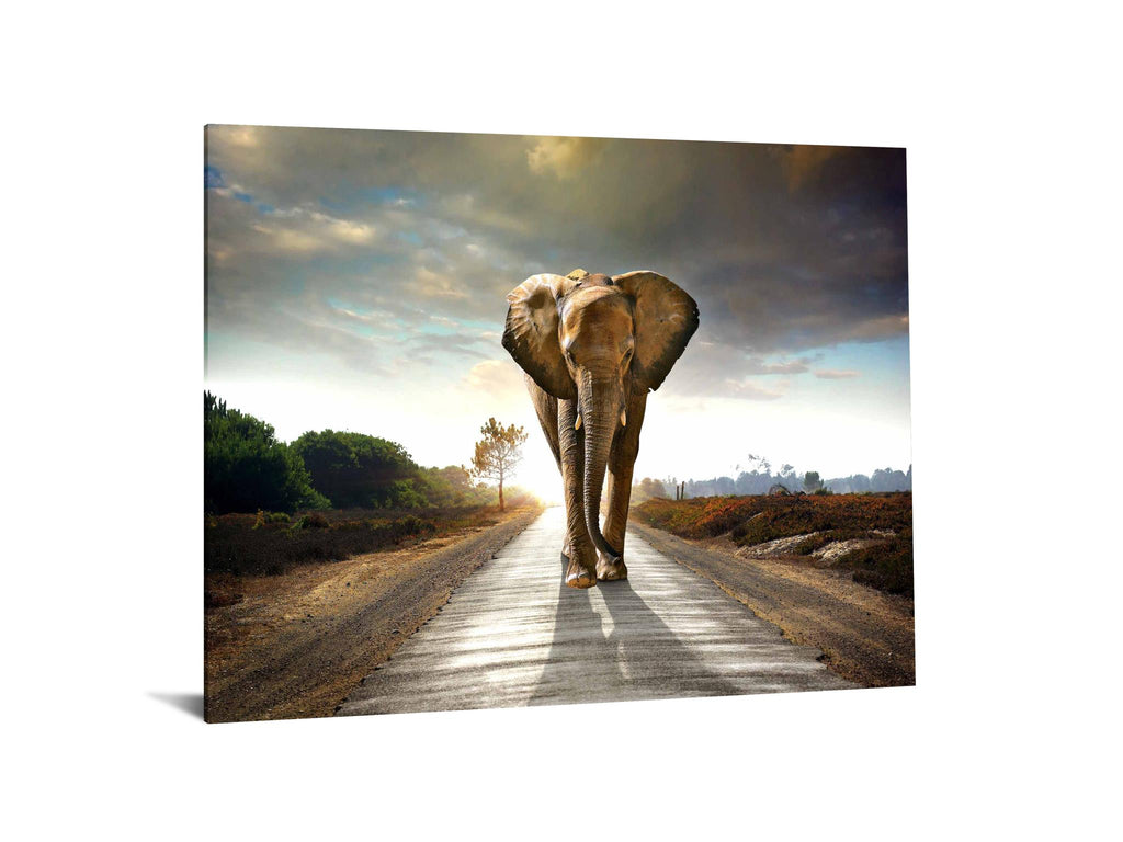 IKASA Art Decor |Elephant Floating Tempered Glass with Foil
