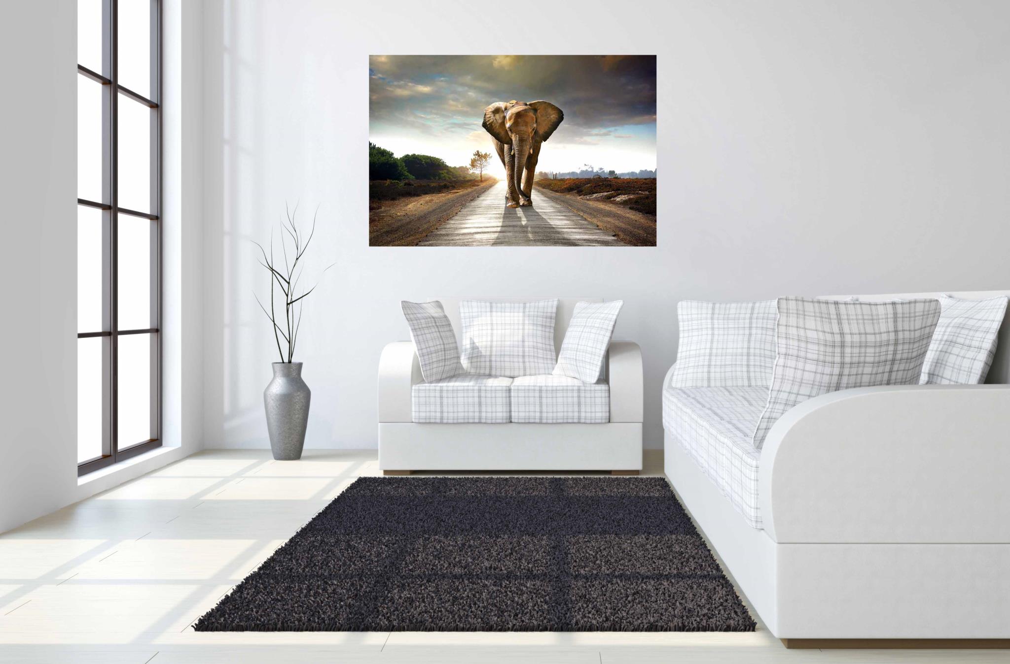 IKASA Art Decor |Elephant Floating Tempered Glass with Foil