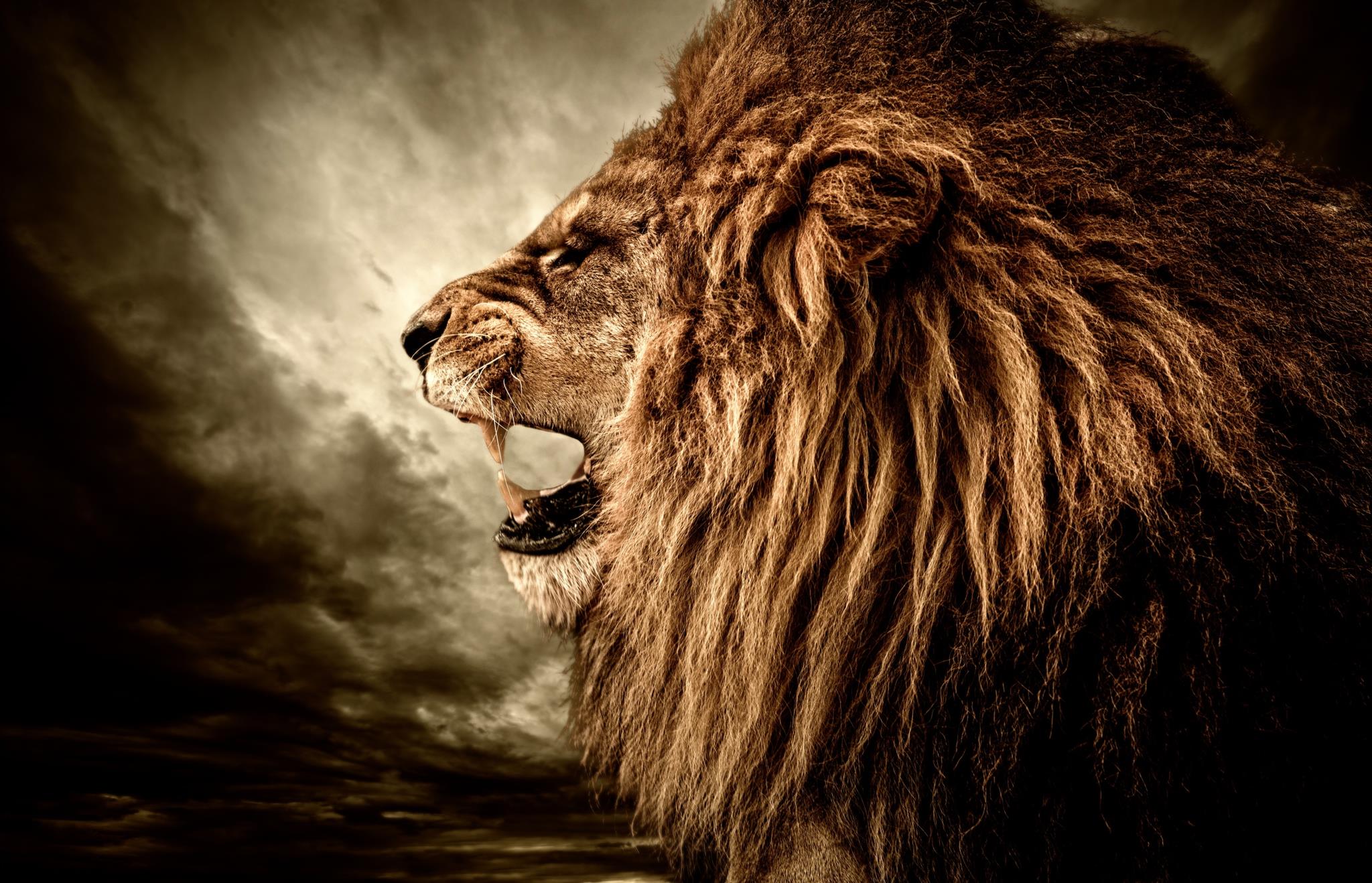 IKASA Art Decor |Lion Floating Tempered Glass with Foil