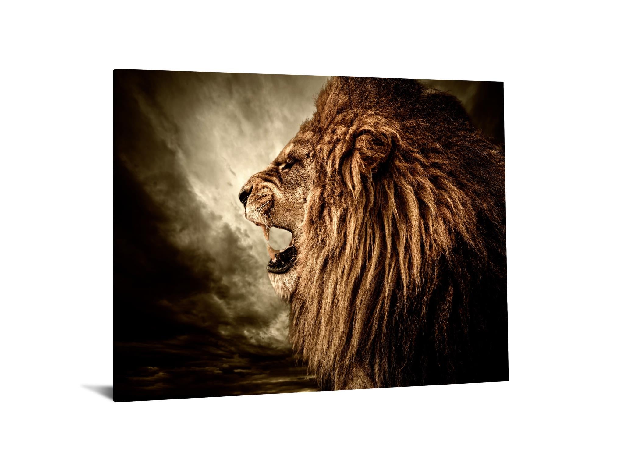 IKASA Art Decor |Lion Floating Tempered Glass with Foil