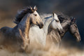 IKASA Art Decor |Temp Glass w/foil 3 horse