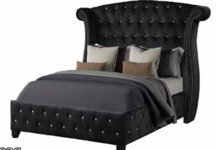 SOPHIA BLACK- QUEEN BED
